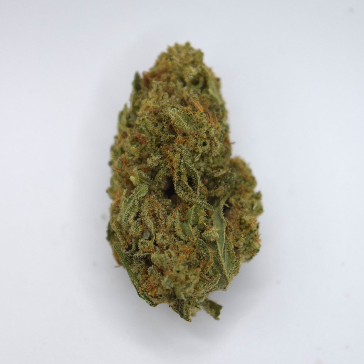 A single dried cannabis bud with green and orange-brown tones, photographed on a plain white background.