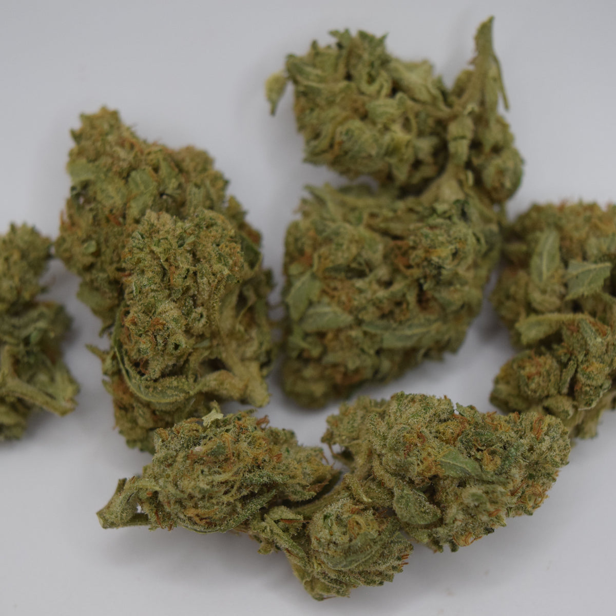 Several dried cannabis buds with green and orange hues, arranged on a plain light gray background.