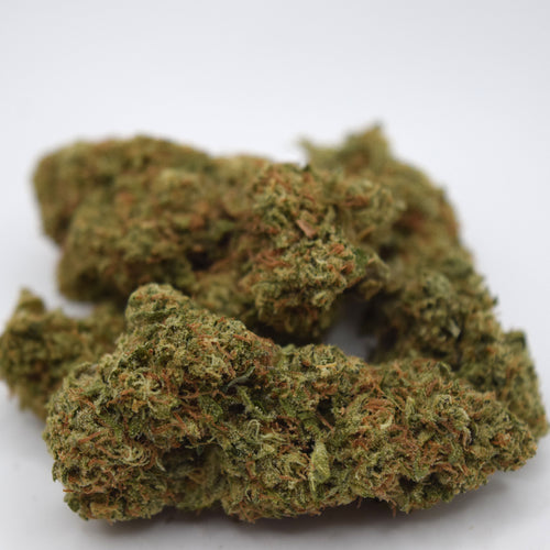 Blue Lobster THCa Flower