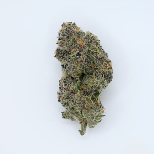 Blue Zushi Craft THCa flower with dense blue-purple frosted buds and a tropical candy, berry, citrus, mint, cream, and gas aroma profile.