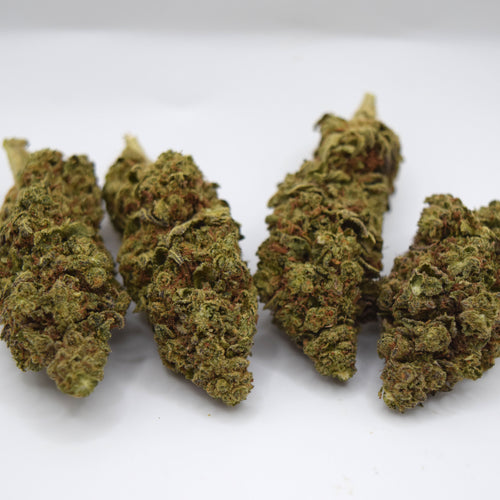 Garlic OG THCa Flower featuring long olive-green spear-shaped nugs with orange pistils, moderate trichome coverage, and a classic OG-style appearance.