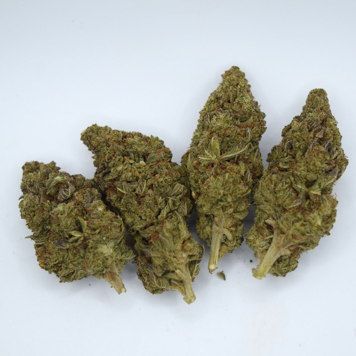 Garlic OG THCa Flower featuring long olive-green spear-shaped nugs with orange pistils, moderate trichome coverage, and a classic OG-style appearance.