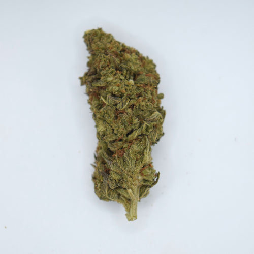 Garlic OG THCa Flower featuring long olive-green spear-shaped nugs with orange pistils, moderate trichome coverage, and a classic OG-style appearance.