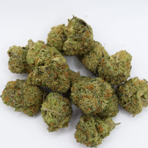 Gaz Money THCa flower with dense purple-green resinous buds and a sweet caramel, fruity candy, pepper, earth, and heavy diesel gas aroma profile.