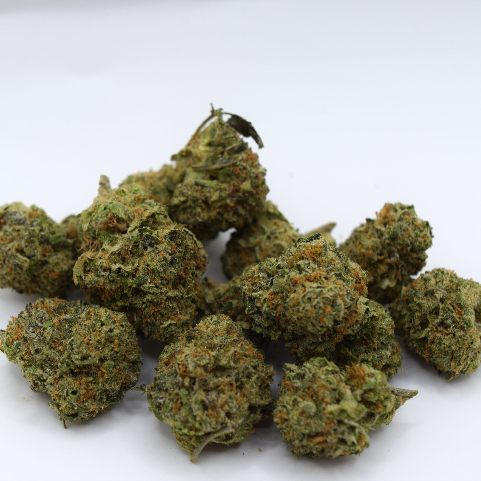 Gaz Money THCa flower with dense purple-green resinous buds and a sweet caramel, fruity candy, pepper, earth, and heavy diesel gas aroma profile.