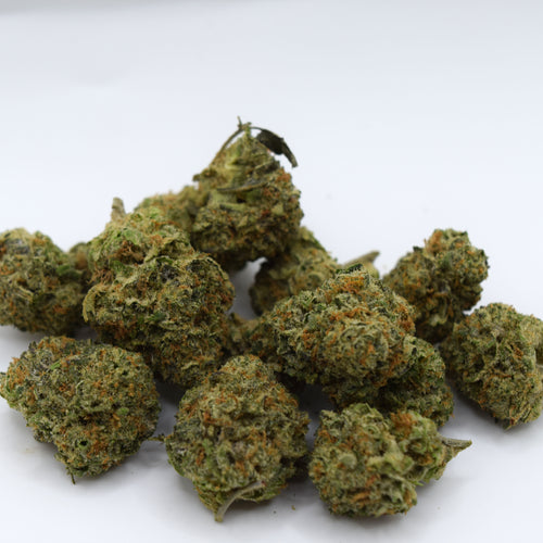 Gaz Money THCa flower with dense purple-green resinous buds and a sweet caramel, fruity candy, pepper, earth, and heavy diesel gas aroma profile.