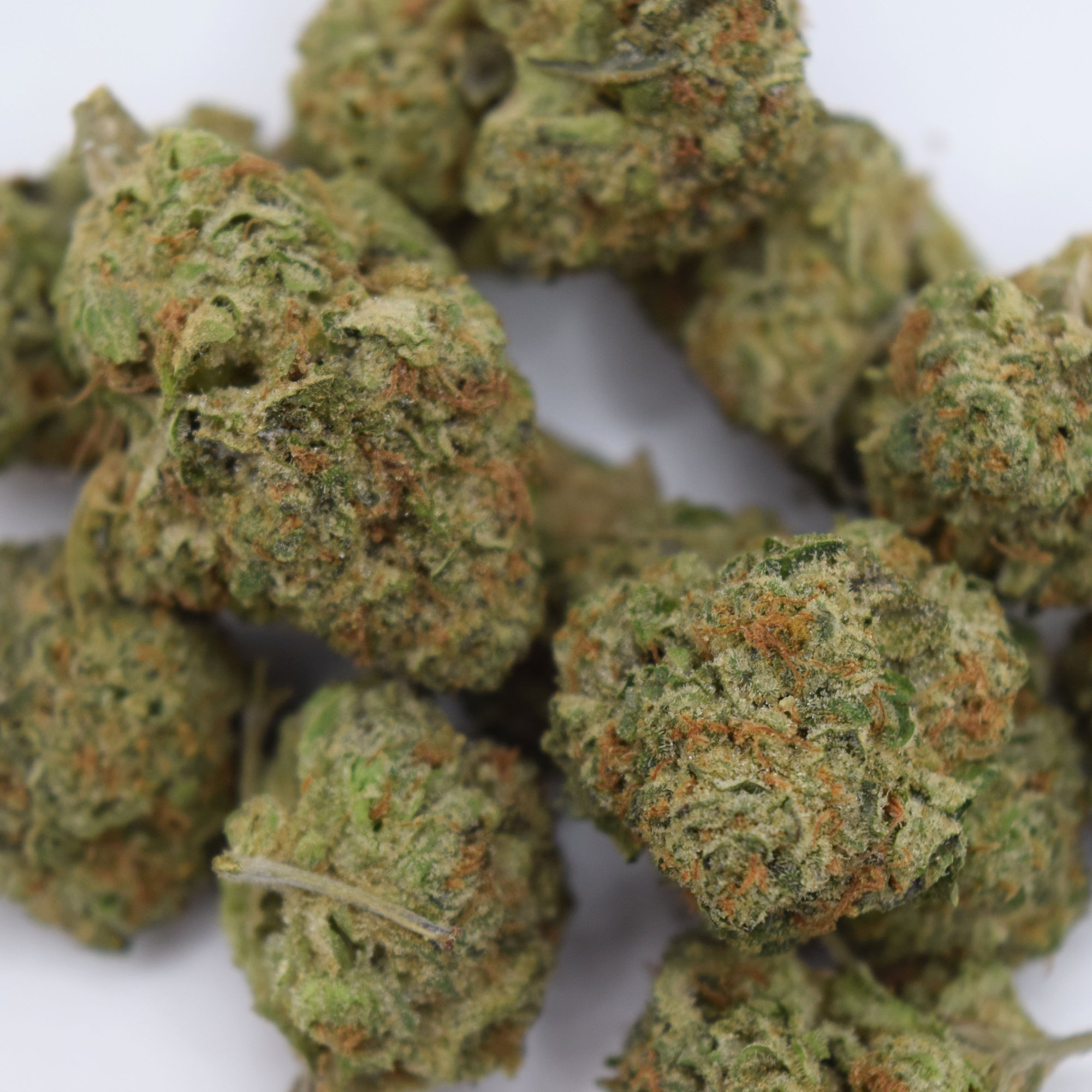 Gaz Money THCa flower with dense purple-green resinous buds and a sweet caramel, fruity candy, pepper, earth, and heavy diesel gas aroma profile.