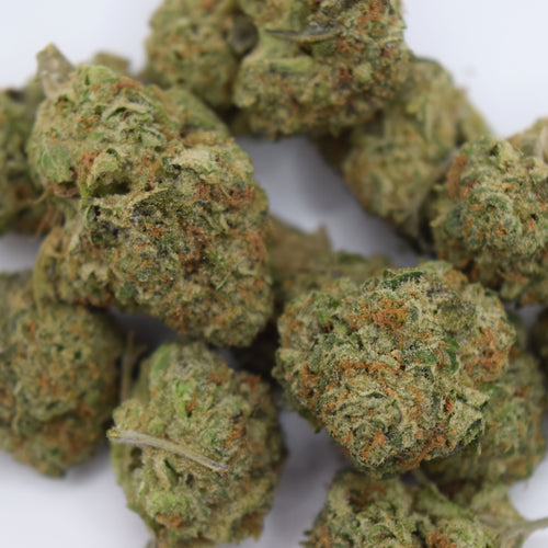 Gaz Money THCa flower with dense purple-green resinous buds and a sweet caramel, fruity candy, pepper, earth, and heavy diesel gas aroma profile.