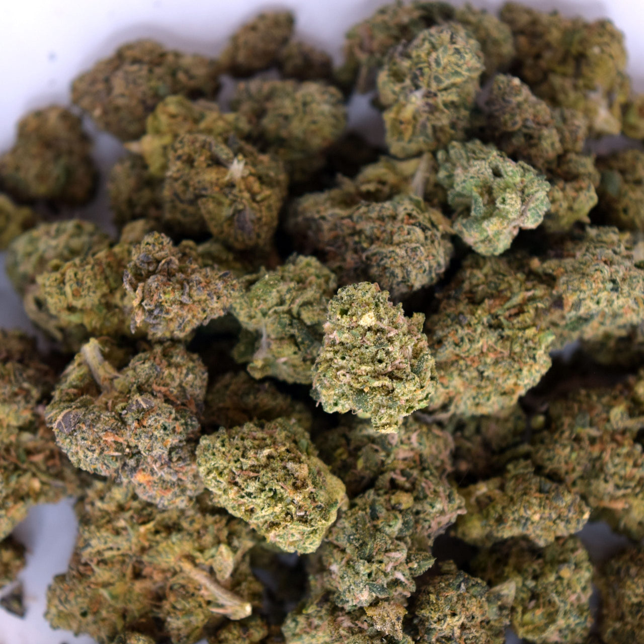 Mixed ounce bag with multiple premium “tops” THCa buds in varied colors and nug structures.