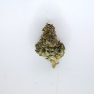 Candy Gas THCa greenhouse-grown nugs with frosty trichomes and bright candy-gas aroma.