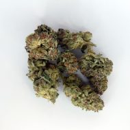 Candy Gas THCa greenhouse-grown nugs with frosty trichomes and bright candy-gas aroma.