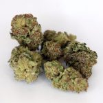 Candy Gas THCa greenhouse-grown nugs with frosty trichomes and bright candy-gas aroma.