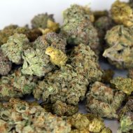 Mixed greenhouse-grown THCa flower ounce with multiple strains in a single 28g bag.