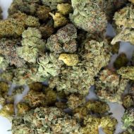 Mixed greenhouse-grown THCa flower ounce with multiple strains in a single 28g bag.
