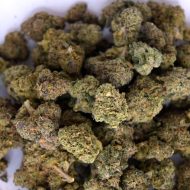 Mixed ounce bag with multiple premium “tops” THCa buds in varied colors and nug structures.
