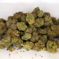 Mixed ounce bag with multiple premium “tops” THCa buds in varied colors and nug structures.