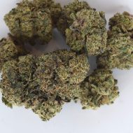 Blue Zushi craft exotic THCa flower with dense blue-green buds, heavy trichome coverage, and sticky resin texture.