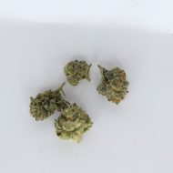 Gelato smalls indoor THCa flower showing compact buds with creamy aroma and visible trichomes.