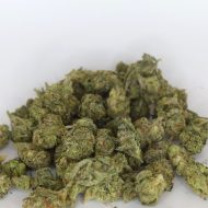 Gelato smalls indoor THCa flower showing compact buds with creamy aroma and visible trichomes.