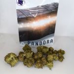 Pandora’s Box – Mixed THCa Flower (4g Eighth)