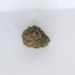 Cheese Runtz THCa tops flower showing dense frosty buds with creamy cheese and candy terpene expression.
