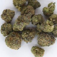 Cheese Runtz THCa tops flower showing dense frosty buds with creamy cheese and candy terpene expression.