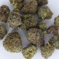 Cheese Runtz THCa tops flower showing dense frosty buds with creamy cheese and candy terpene expression.