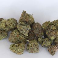 Cheese Runtz THCa tops flower showing dense frosty buds with creamy cheese and candy terpene expression.