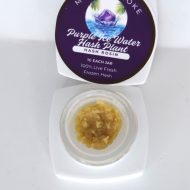 Purple Ice Water Hash Plant is a cultivar selected specifically for hash production, favoring resin density, trichome structure, and terpene retention during ice-water extraction.