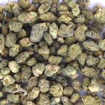 Bulk Cherry Dose THCa smalls flower showing dense indoor buds with sweet cherry and berry terpene profile.