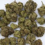 Candy Gas Exotic THCa Flower with dense frosty buds, bright green coloration, and sweet candy fuel aroma profile.